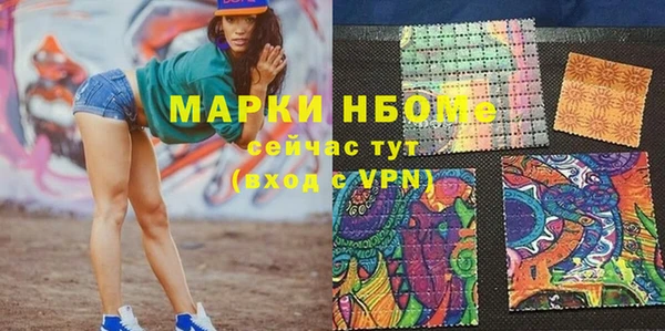 индика Бородино