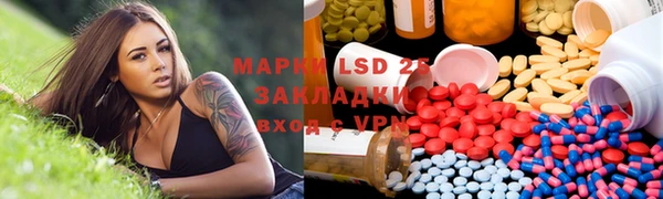 индика Бородино
