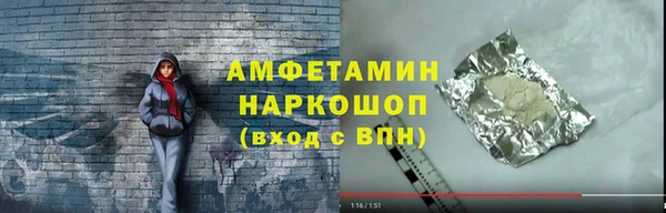 индика Бородино