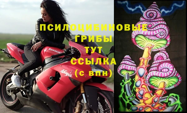 индика Бородино