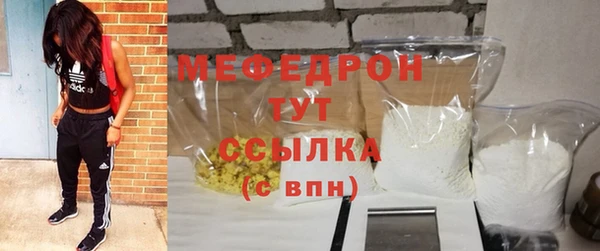 индика Бородино