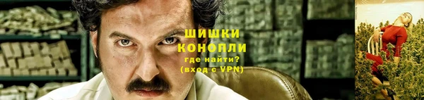 индика Бородино