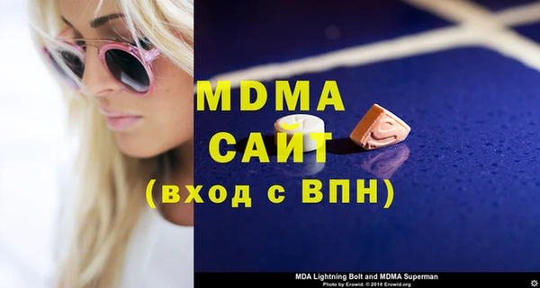 индика Бородино