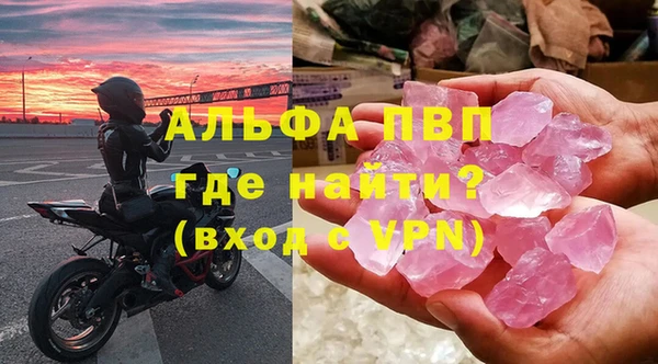 индика Бородино