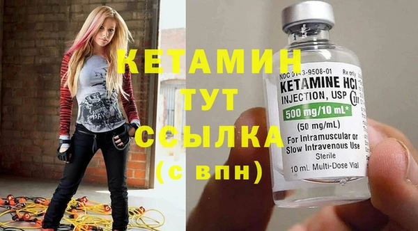 индика Бородино