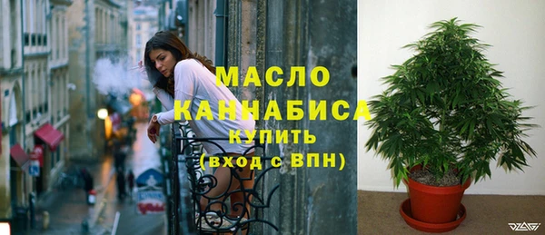 индика Бородино