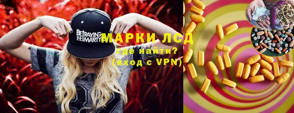 индика Бородино