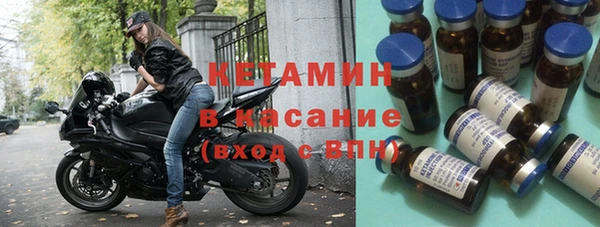 индика Бородино