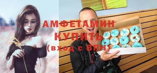 индика Бородино