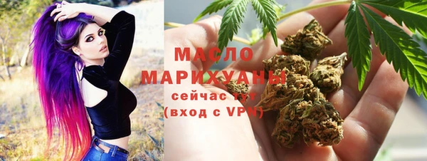 индика Бородино