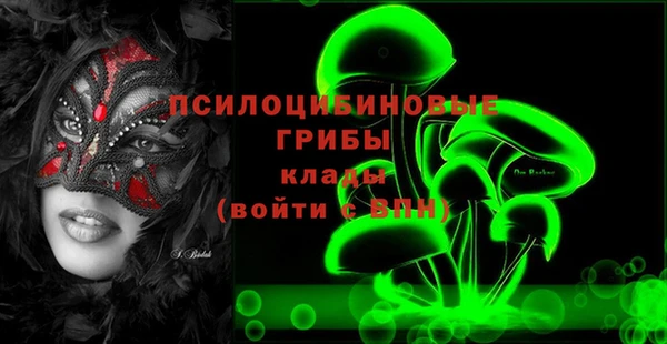 индика Бородино