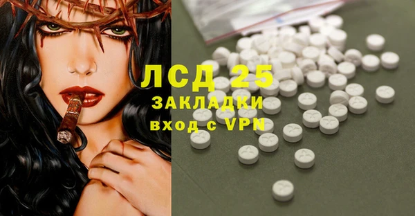 индика Бородино